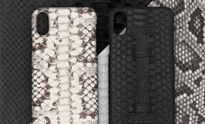 Python Skin iPhone Case