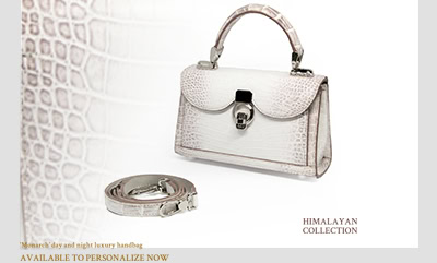 Crocodile Skin Clutch Bag