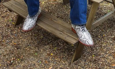 Python Skin Shoes