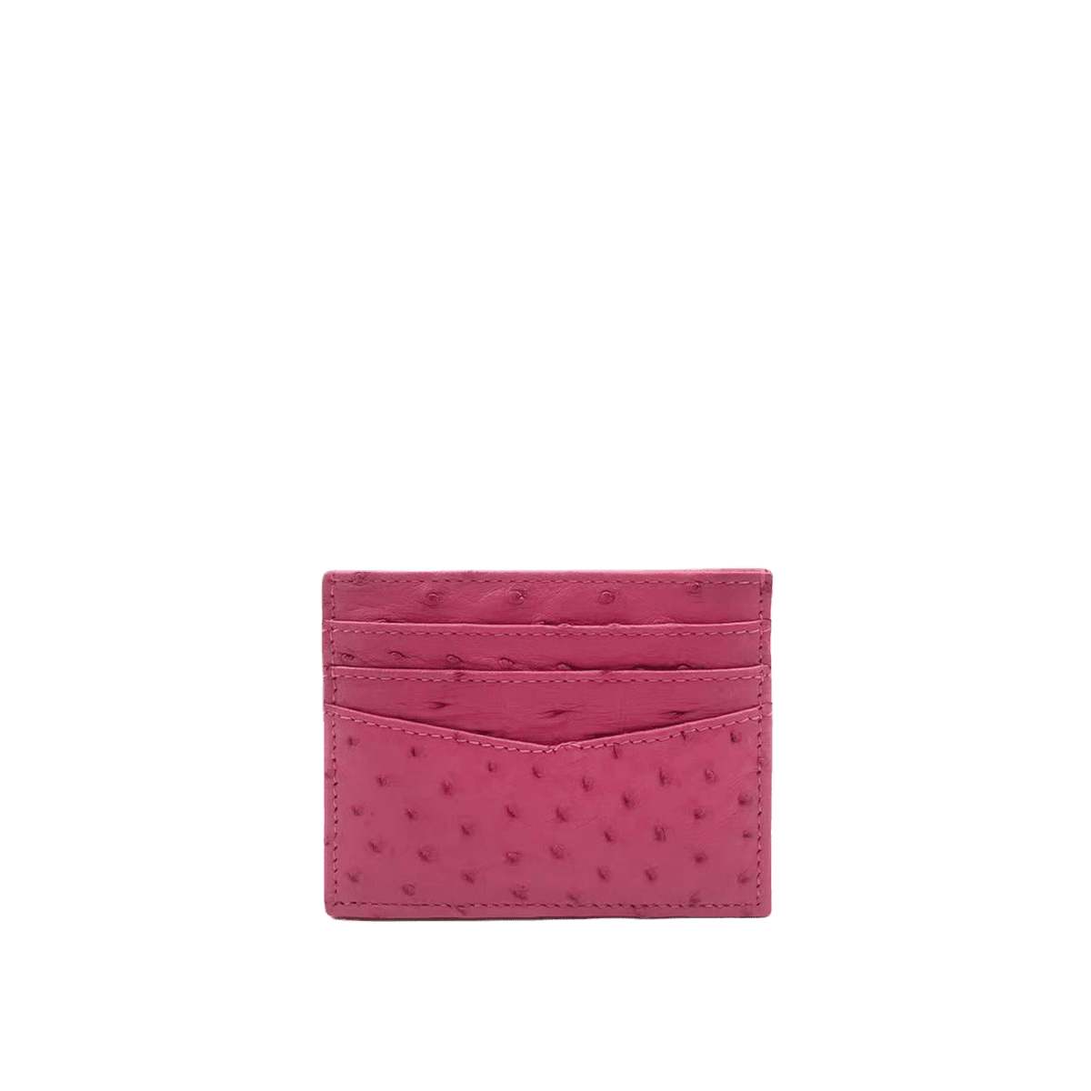 CARD HOLDER V