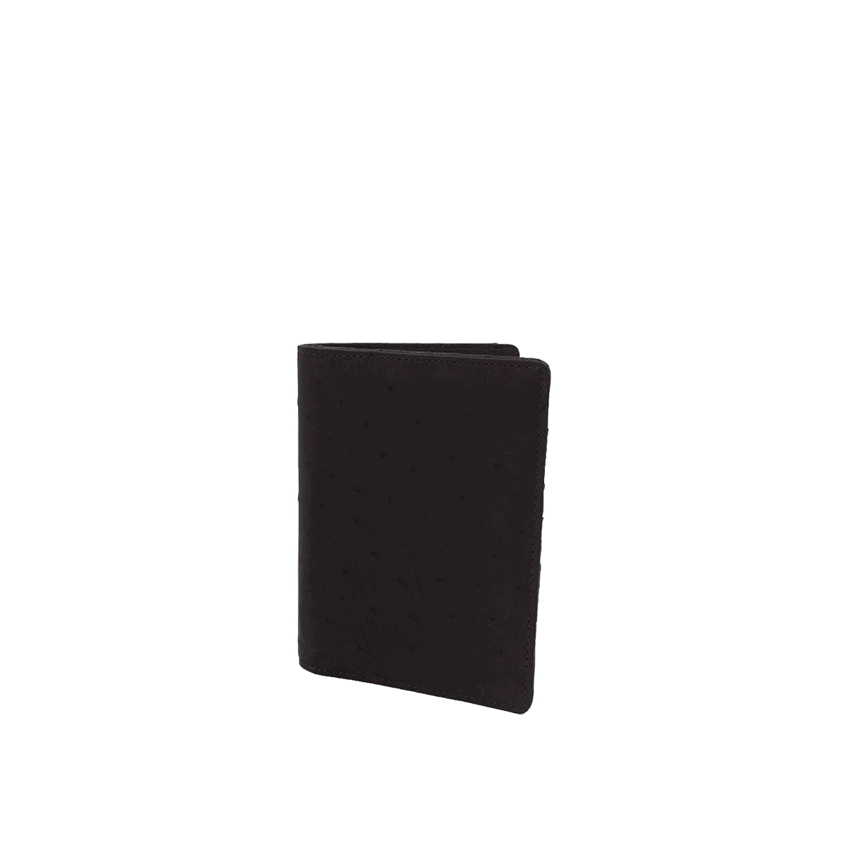 Dual Passport Holder