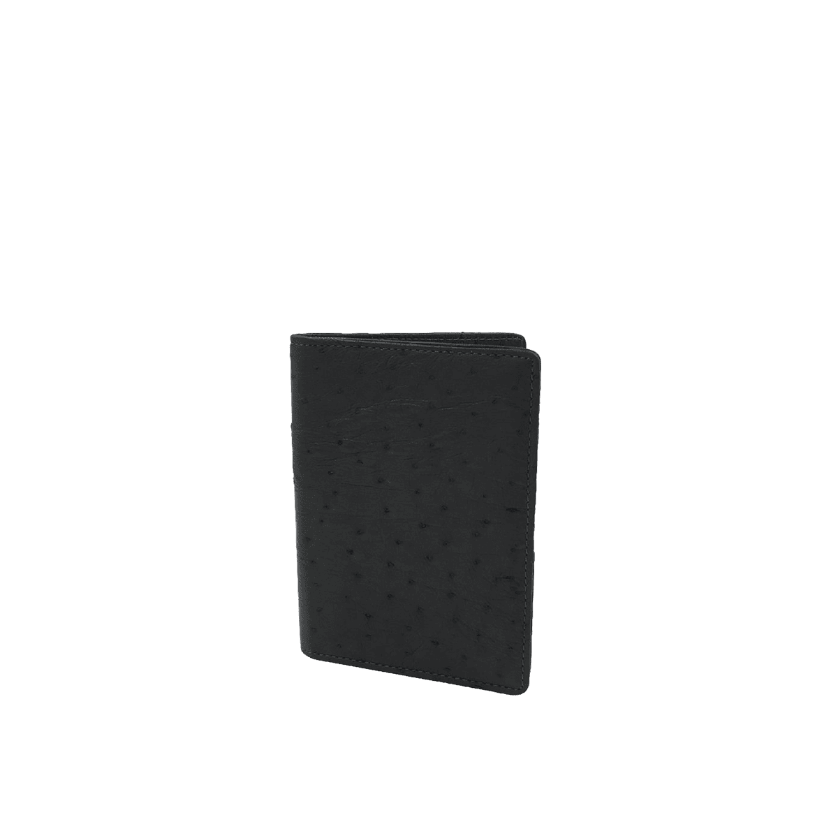 Dual Passport Holder