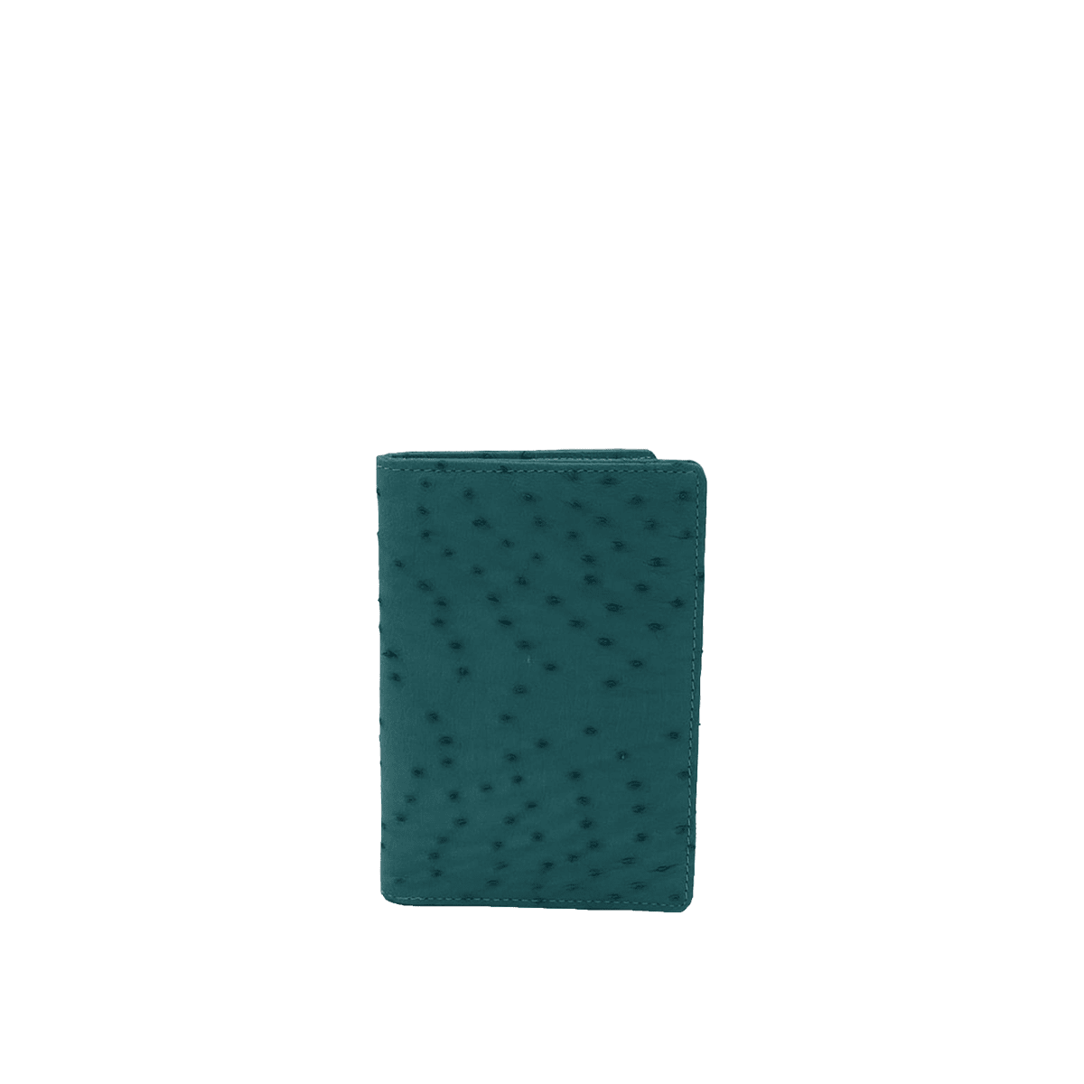 Dual Passport Holder