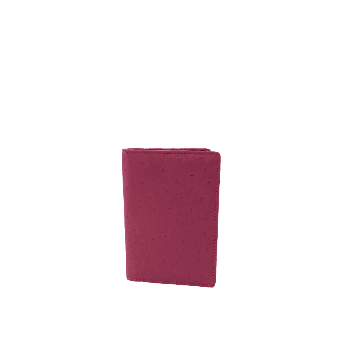 Dual Passport Holder