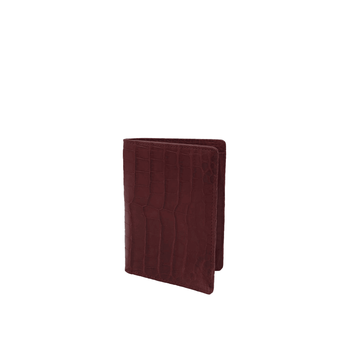 Dual Passport Holder