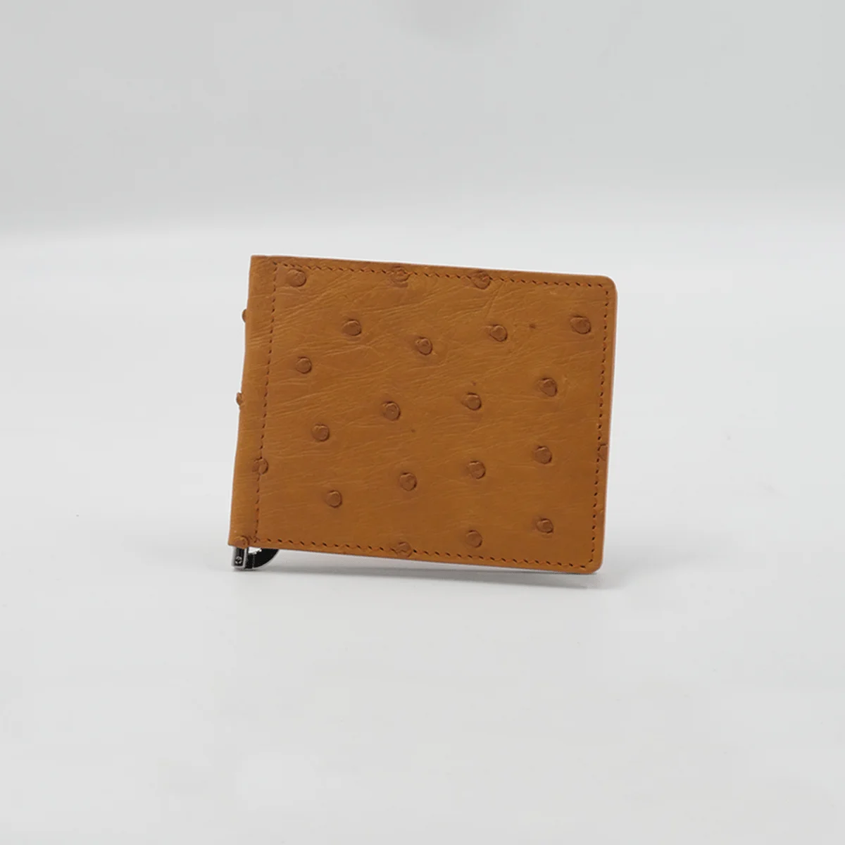 Money Clip